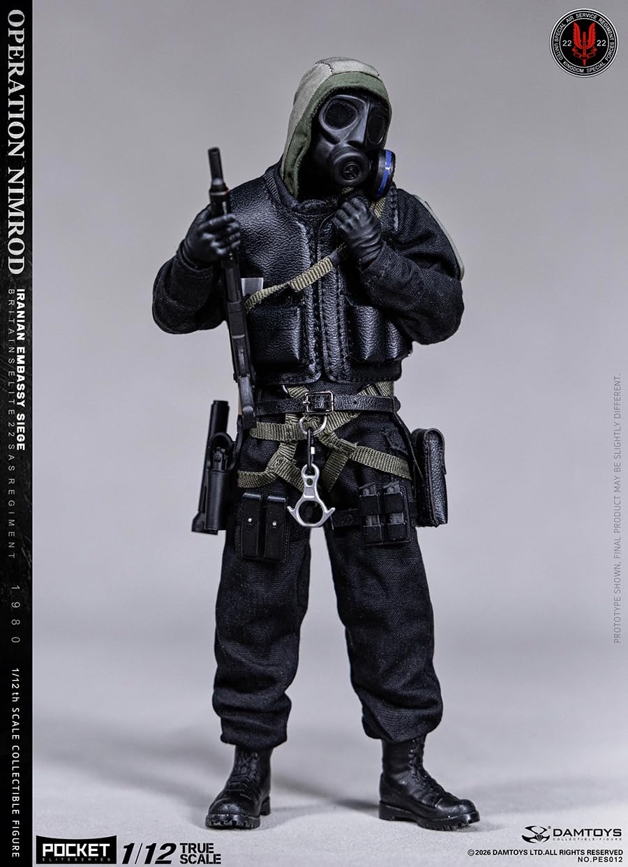 Amazon.co.jp: DAMTOYS 1/12 フィギュア SAS CRW 兵士 素体セット 可動